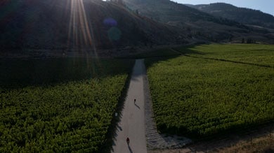 Two cyclists riding on a narrow path through green fields with mountains in the background