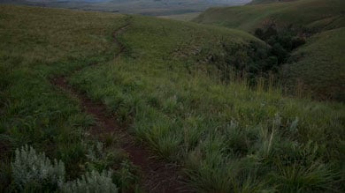 A winding path through green grassy hills at dusk