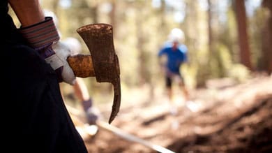 Close-up of a person holding an axe in a forest with blurred background