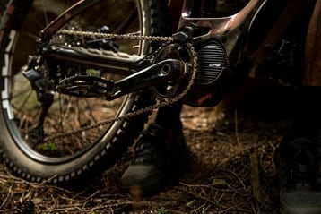 Mountain bike chainring and pedals in forest