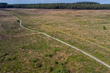 Fietsers op een kronkelend pad door een uitgestrekt grasveld met een bomenrij op de achtergrond.