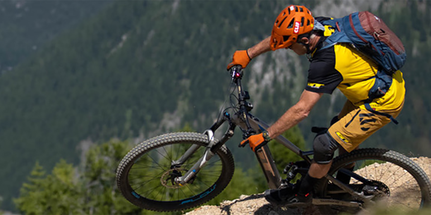 Time Travel Through the Evolution of MTB