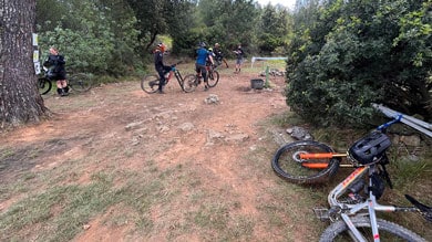 Gruppe von Radfahrern ruht sich auf einem Schotterweg aus, umgeben von Bäumen.