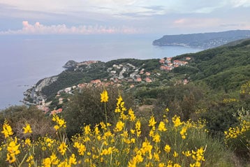 Malerische Küstenansicht mit gelben Blumen im Vordergrund und einem Dorf auf einem Hügel mit Blick auf das Meer.
