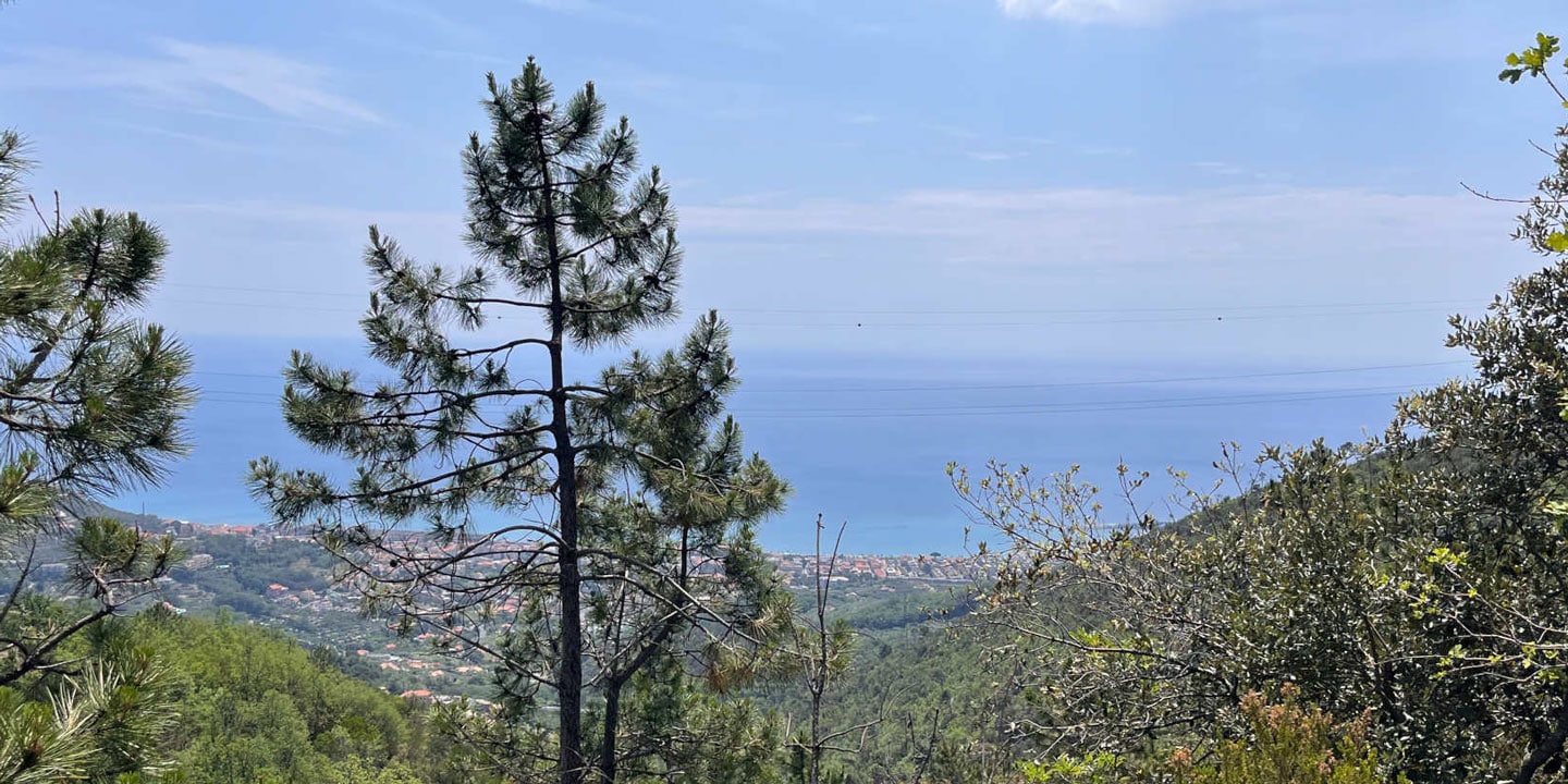UCI Enduro World Cup 2023