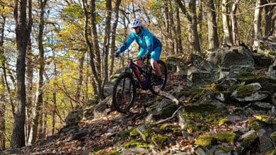 Mountainbiker fährt einen felsigen Waldweg im Herbst hinunter.