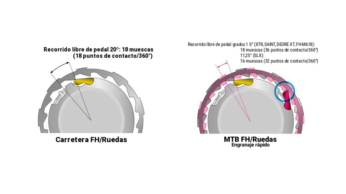 Ilustración comparando engranajes de rueda FH de ruta y MTB.