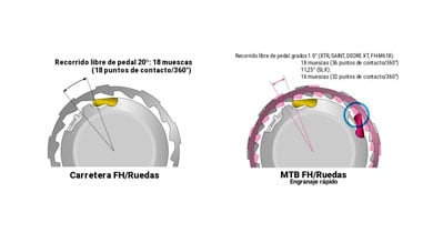 Ilustración comparando engranajes de rueda FH de ruta y MTB.