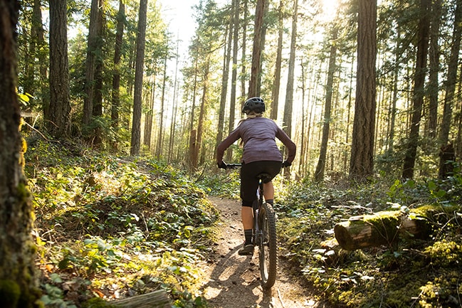 Verás el sendero menor que nunca