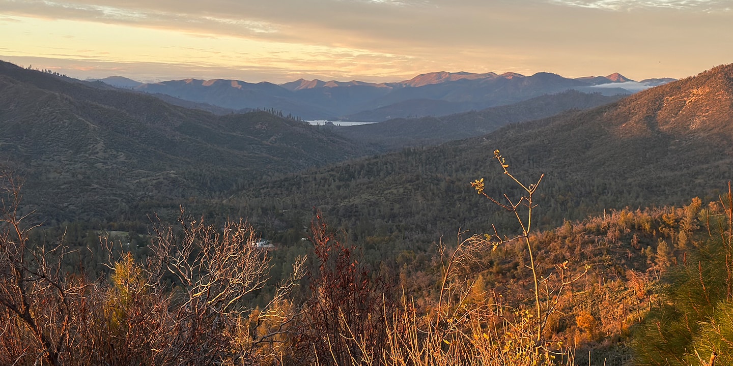 Shimano trail Born projects 