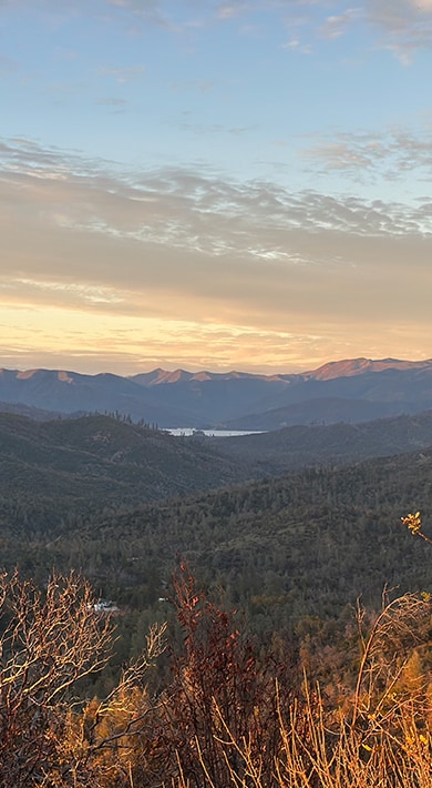 Shimano Trail Born fund 