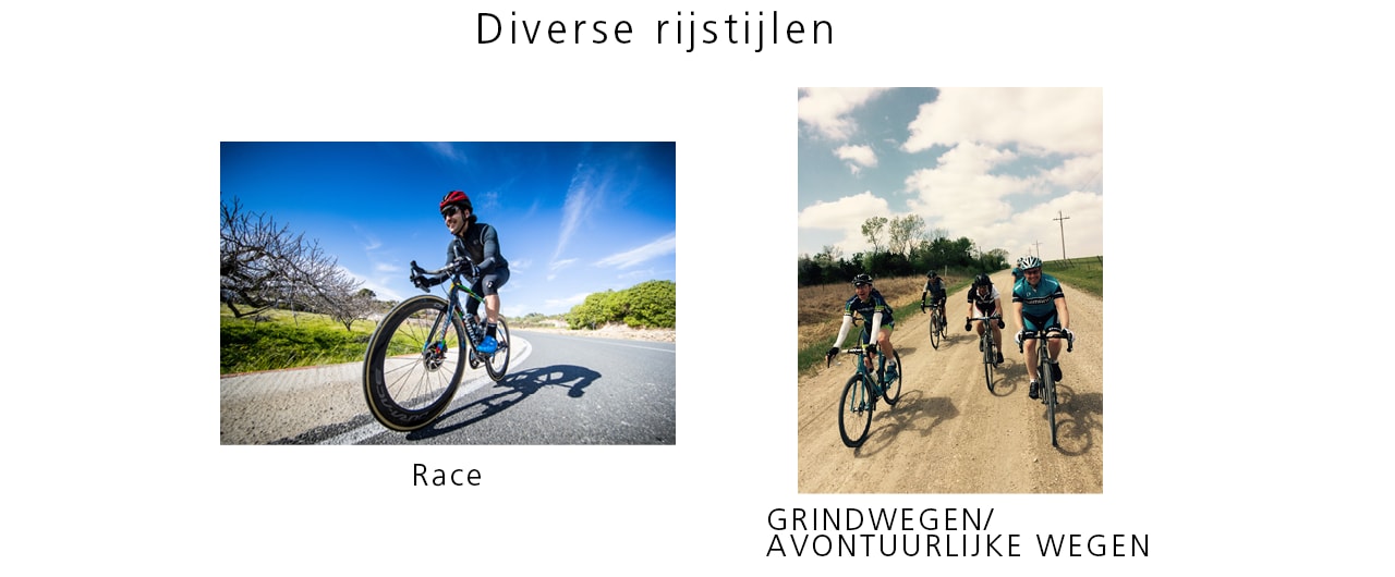 Diverse Riding Styles
