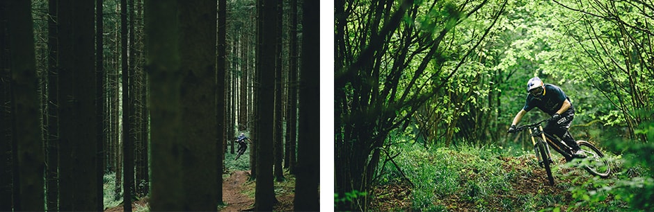woods-dh.jpg