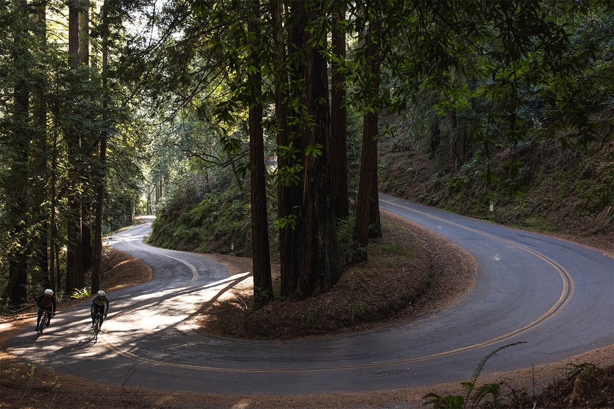 Friends riding road bikes on windy road through California forest 