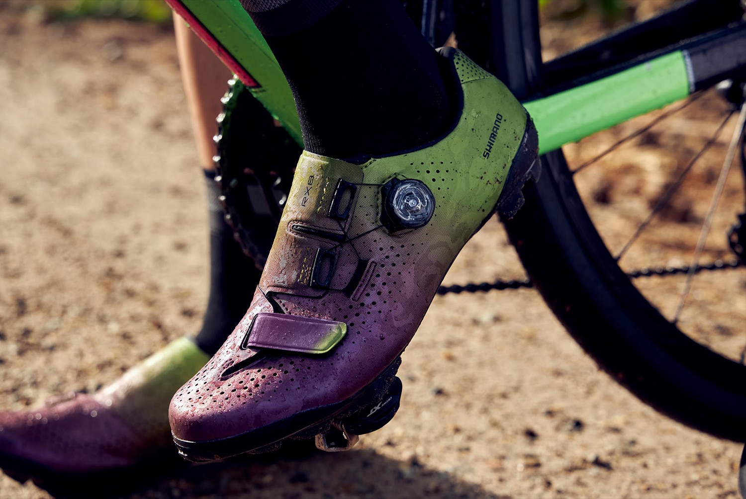 Model wearing Shimano SH-RX800 Purple and Green SPD Gravel shoes