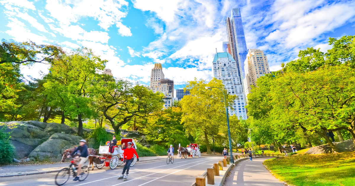 世界の自転車通勤事情 調査 第7回アメリカ・ ニューヨーク編  MIND SWITCH